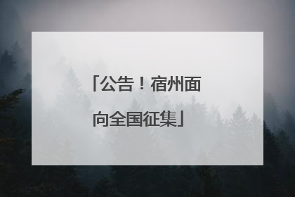 公告！宿州面向全国征集